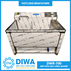 MÁY RỬA RAU CỦ CÔNG NGHIỆP DW-R100