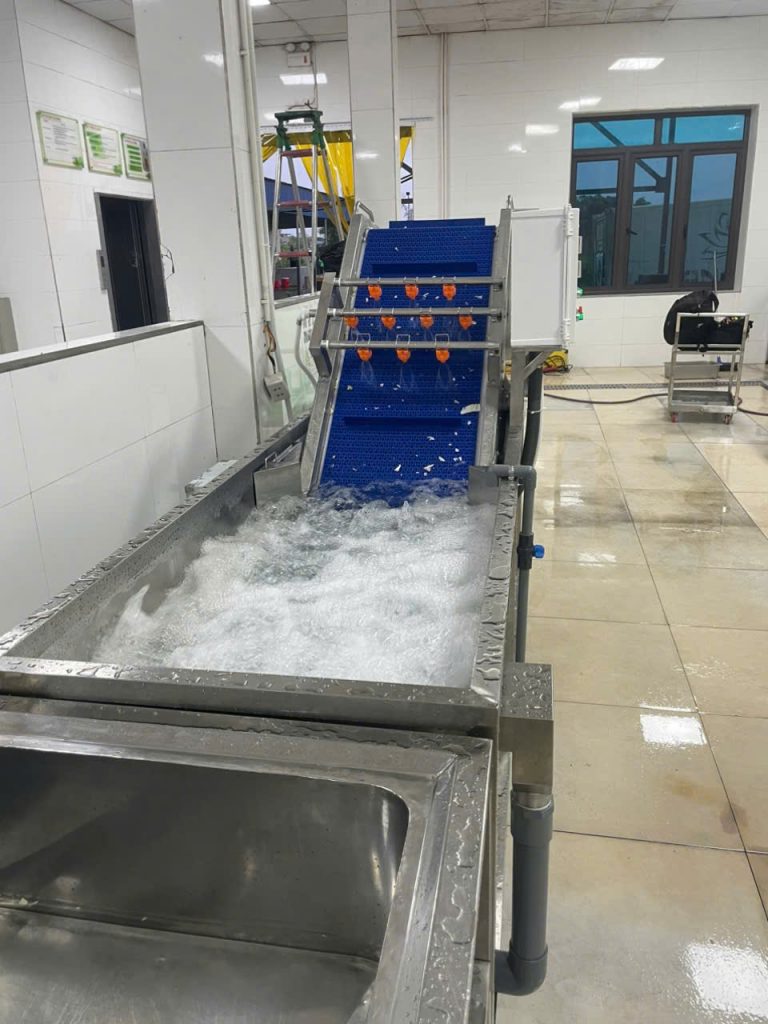 máy rửa rau băng chuyền 300kg.png